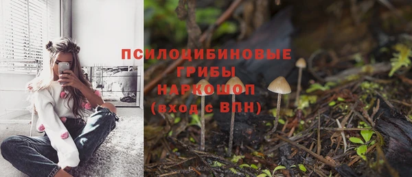 эйфоретик Нестеровская
